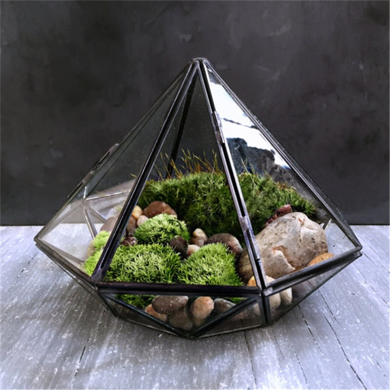 Glass Terrarium