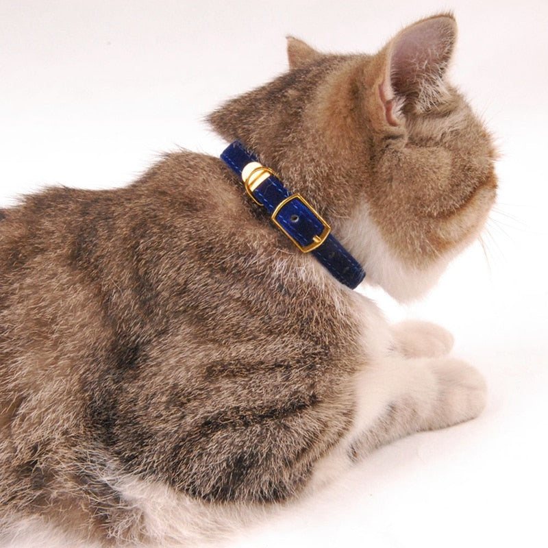 Collar For Small Cats & Dogs